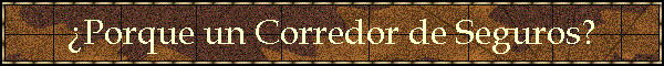 �Porque un Corredor de Seguros?