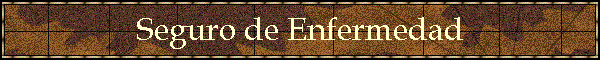 Seguro de Enfermedad