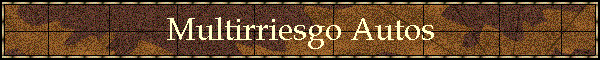 Multirriesgo Autos