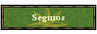 Seguros