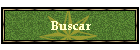 Buscar