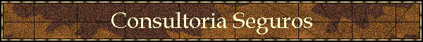 Consultoria Seguros
