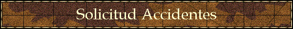 Solicitud Accidentes